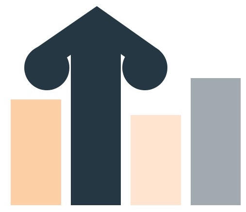 Raraunga Analytics logo